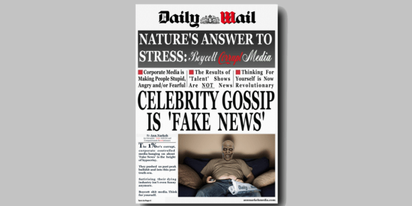 dailywailcelebgossipfakenewswp