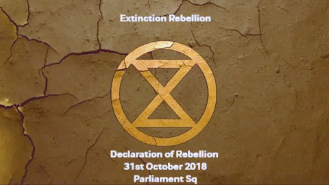 XS_CrackedEarth_XR_gif